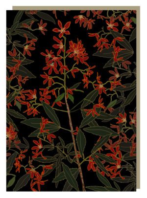 Christmas Bush Card