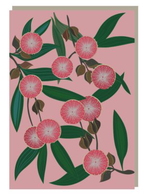 Hakea Blooms Greeting Card