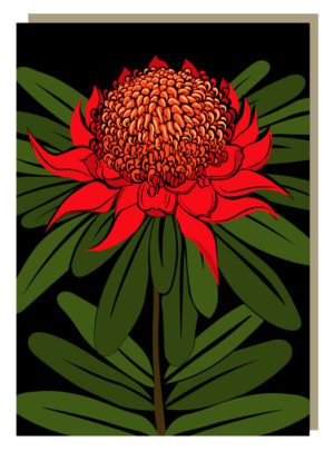 Waratah Greeting Card