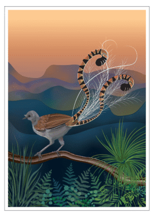 Lyrebird Mountains eco postcard