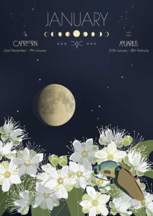 Moon Calendar January 2026 Lemon Myrtle Regal jewel beetle