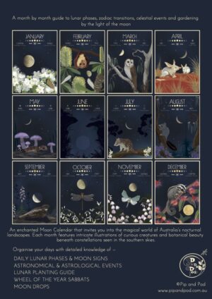 Moon Calendar 2026 months Moon Planting guide, astronomical and astrological almanac