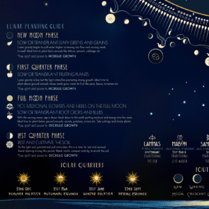 Cosmic Lunar Calendar 2026 - Image 4