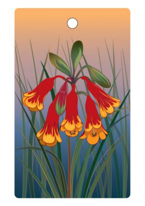 Christmas Bells Eco Gift Tags