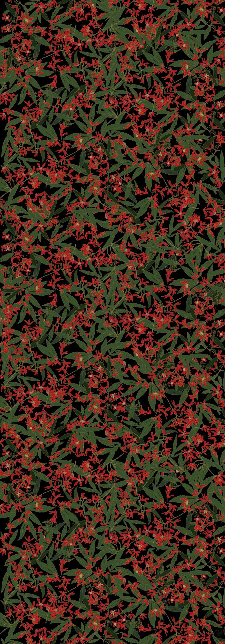 Christmas Bush modal vegan silk scarf Ceratopetalum gummiferum